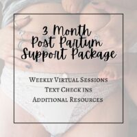3 Month Post Partum Support Package